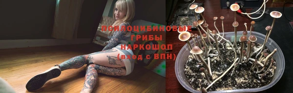 дживик Аркадак