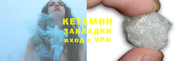 индика Каменка