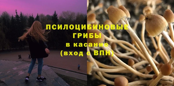 дживик Аркадак