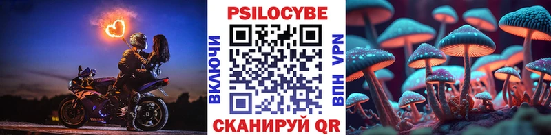 ссылка на мегу tor  Хотьково  Псилоцибиновые грибы прущие грибы 