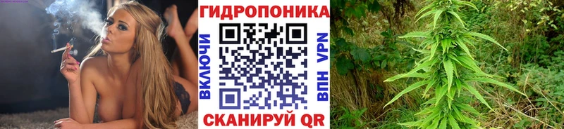 кракен как зайти  Хотьково  Бошки Шишки гибрид 